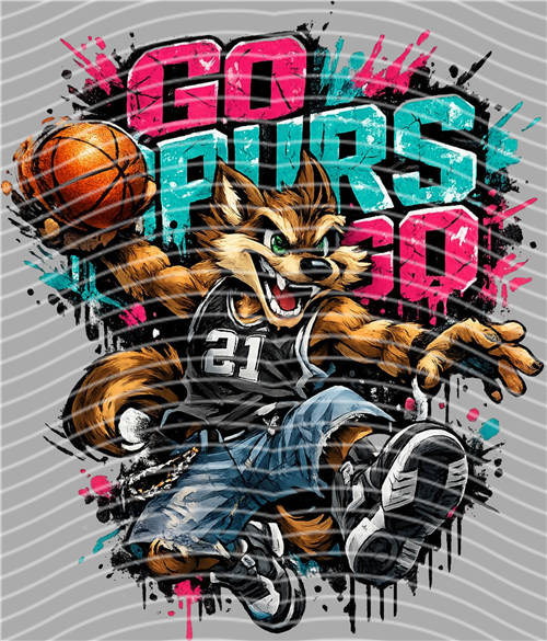 NBA and Team-QD 2748